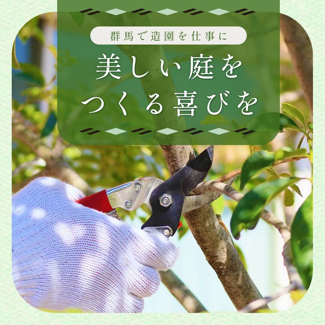 popup_banner